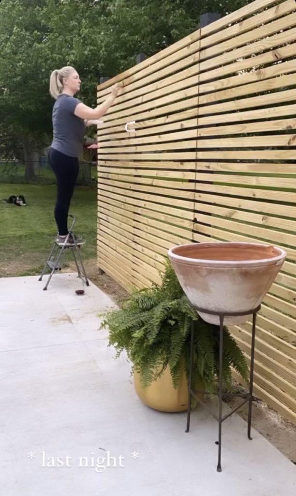 staining the diy privacy wall